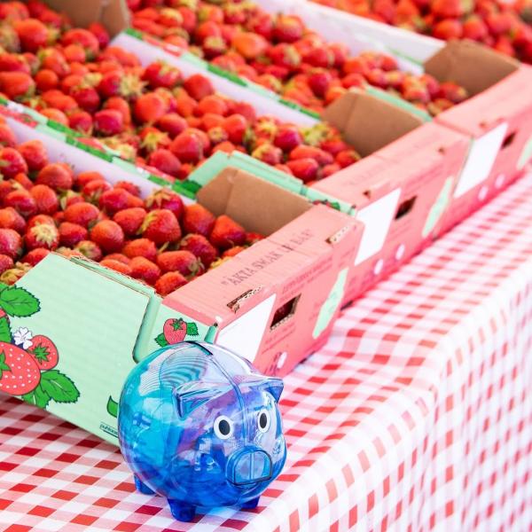 Mansikoita, mökkeilyä ja mutkatonta taloushallintoa!🍓 Tilin Takojilla hoidetaan hommat ajallaan, jotta yrittäjän kes...